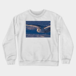 Snowy Owl flys at Sunset Crewneck Sweatshirt